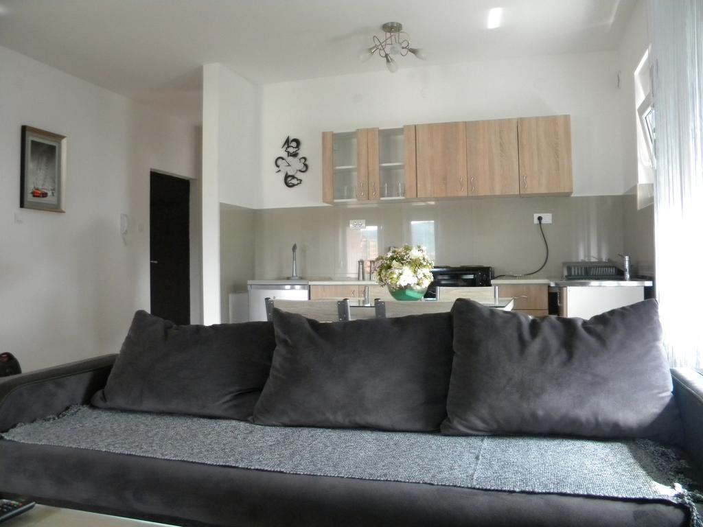 Apartment Srebrni Oblak Arandjelovac Esterno foto
